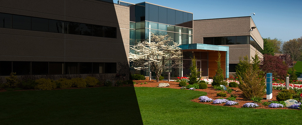 Essex Junction Landscapers